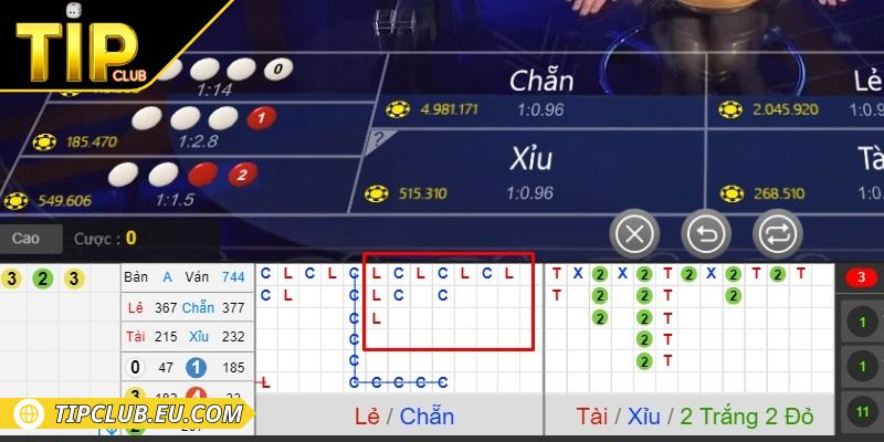 Tiến hành đặt cược trong thời gian quy định