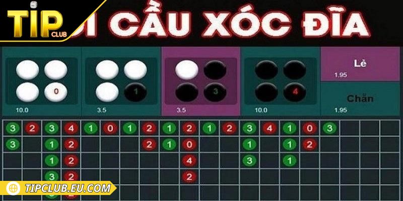 Giới thiệu chi tiết soi cầu sóc đĩa Tipclub