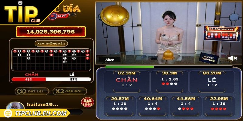 Rút thưởng và tham chiếu lịch sử cá cược